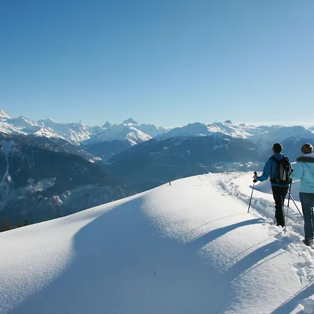 La Foret Ouest C120 By Interhome